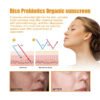 probiotic rice sunscreen SPF 50