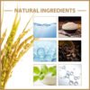 Rice Toner – Radiant Korean Glass Skin Ritual
